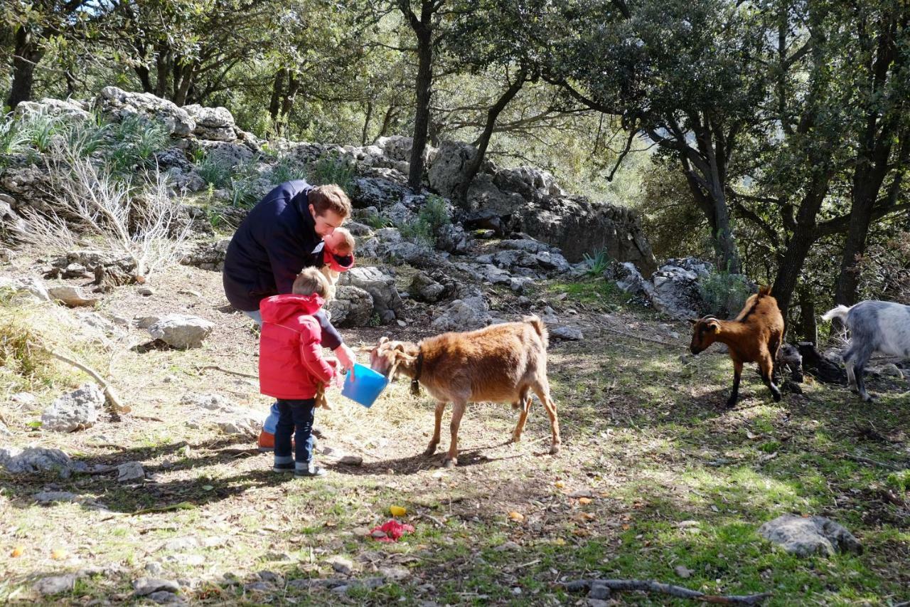 Agroturismo Son Alzines Lluc