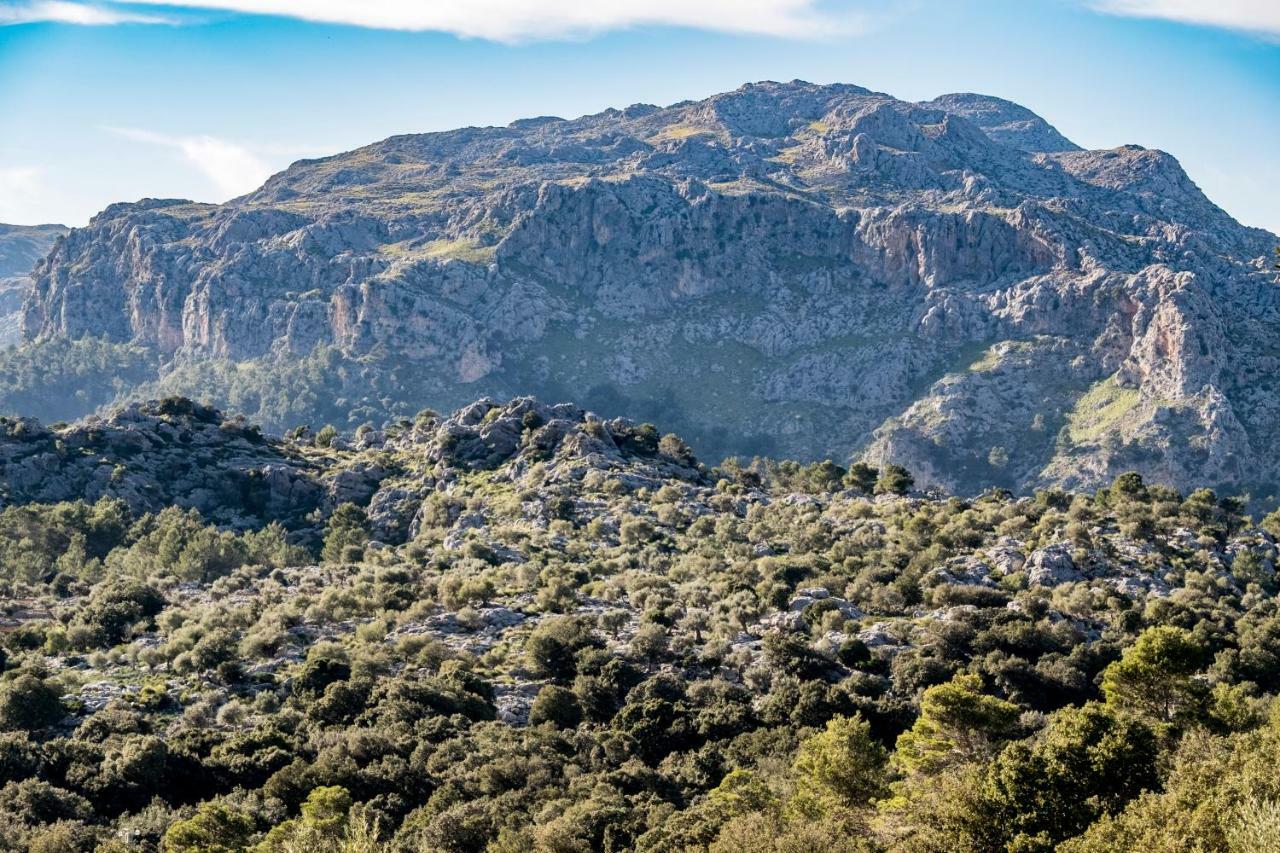 Agroturismo Son Alzines