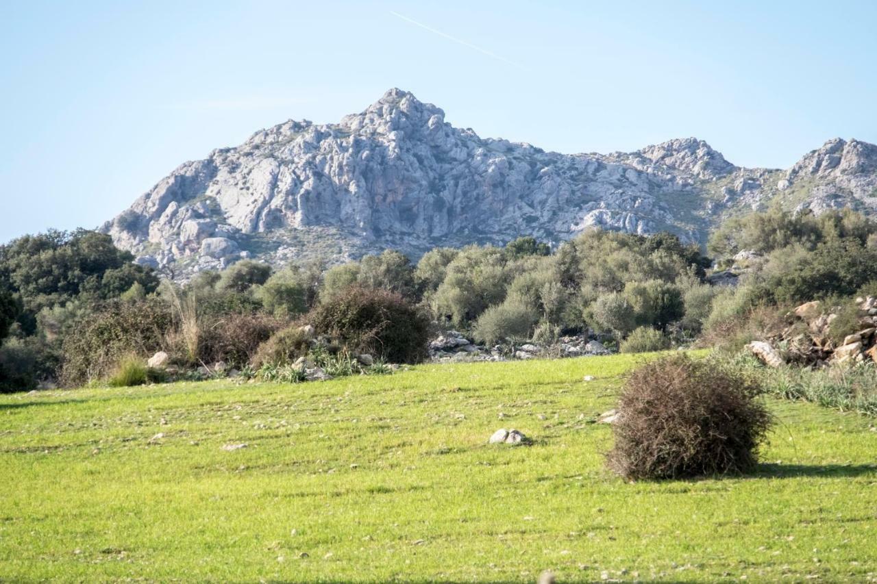 Son Alzines Agroturismo Lluc