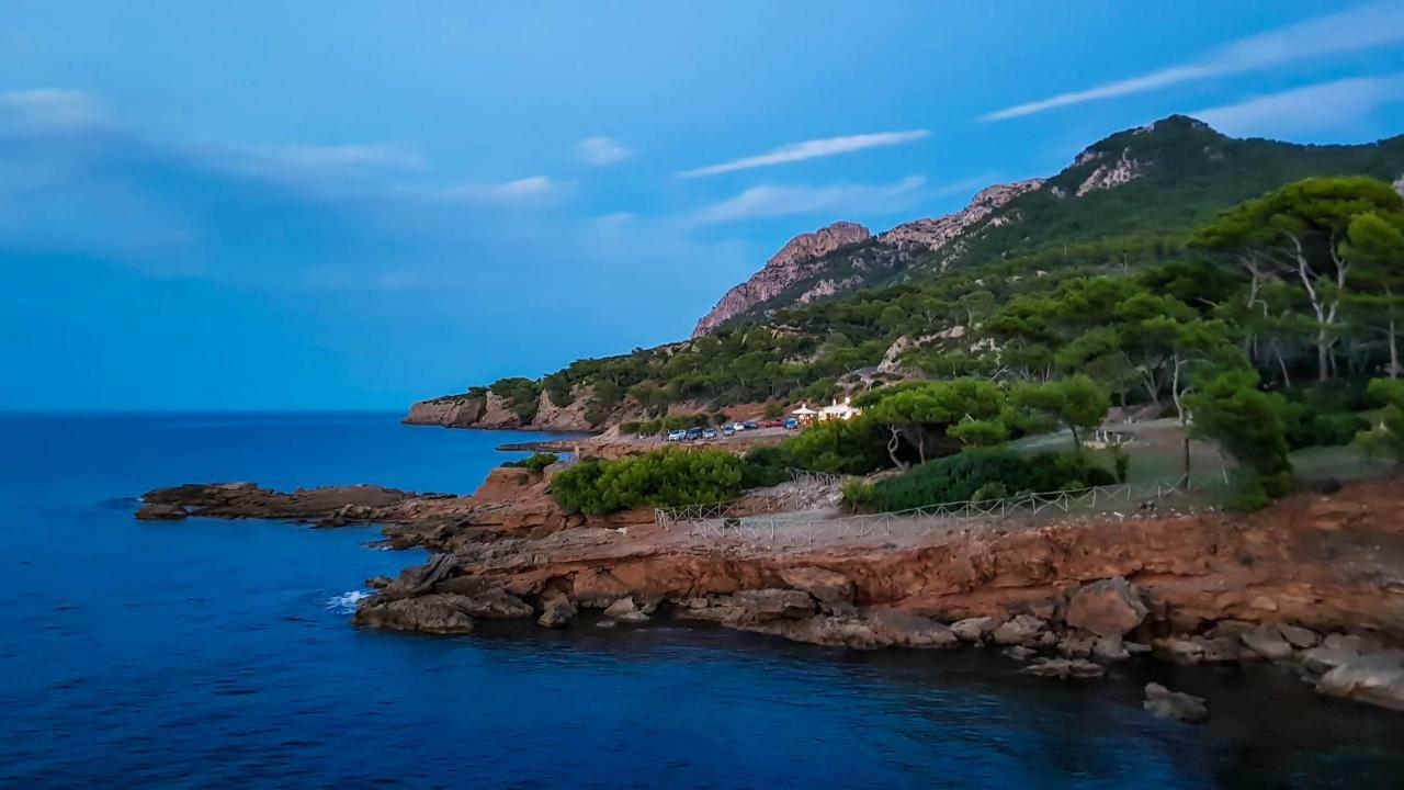 Es Fasser Alcúdia