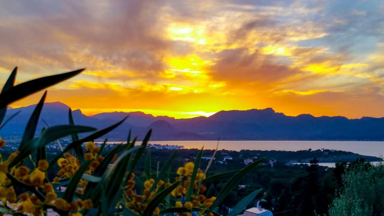 Es Fasser Alcúdia
