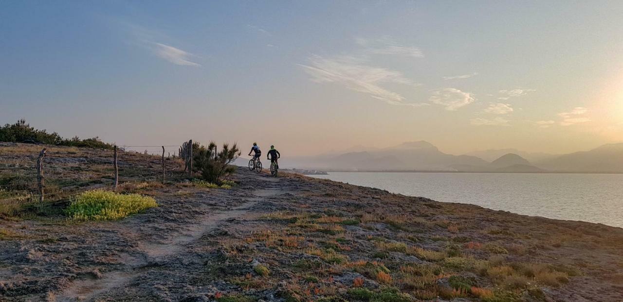Es Fasser Alcúdia