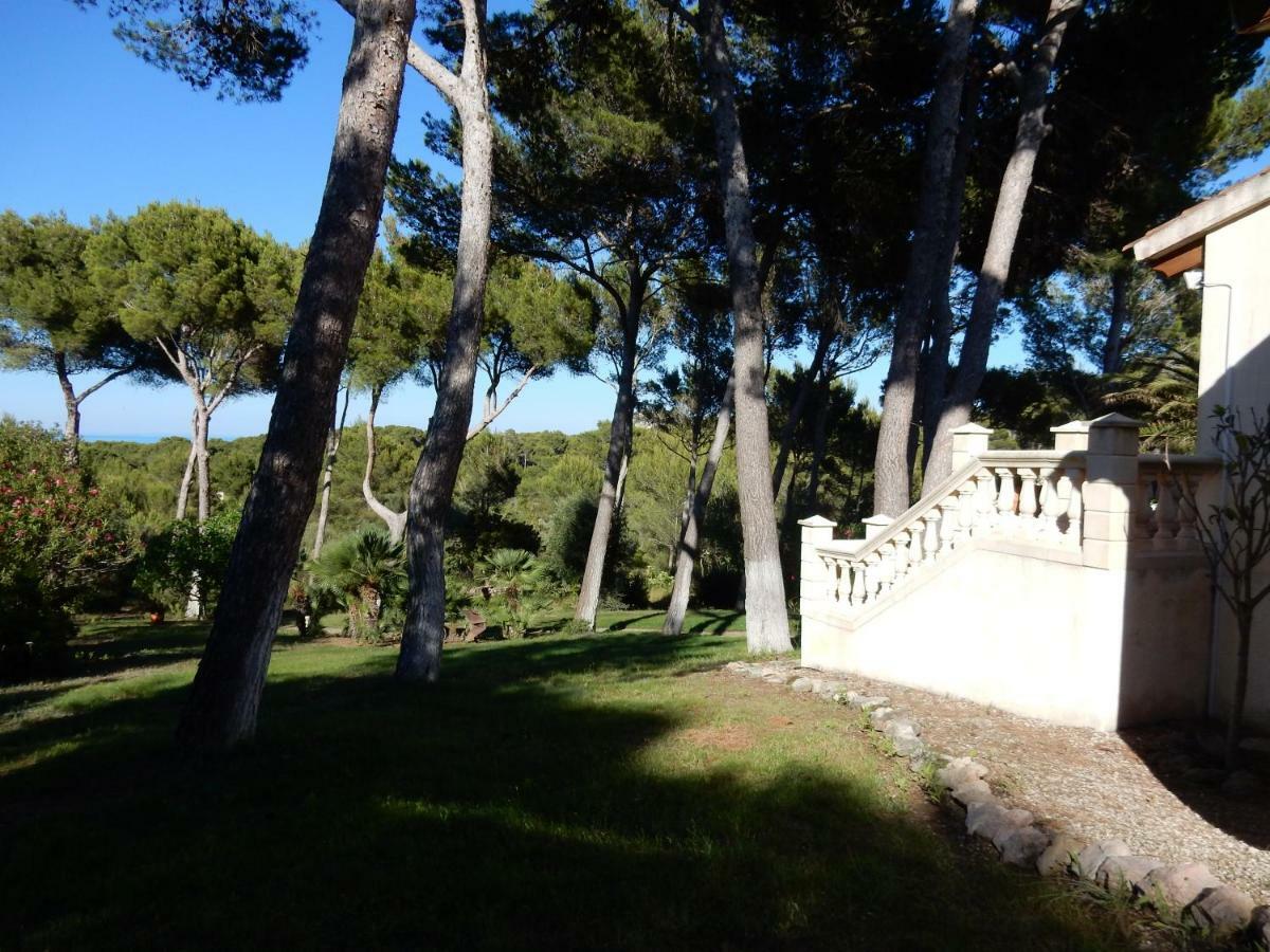 Finca En Sueno De Son Jaumell Cala Ratjada (Mallorca)