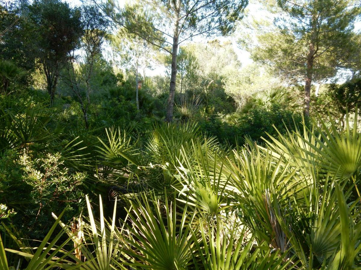 Villa Finca En Sueno De Son Jaumell *
