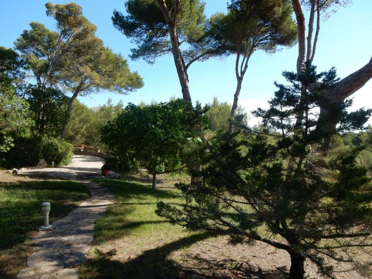 Finca En Sueno De Son Jaumell * Cala Ratjada (Mallorca)