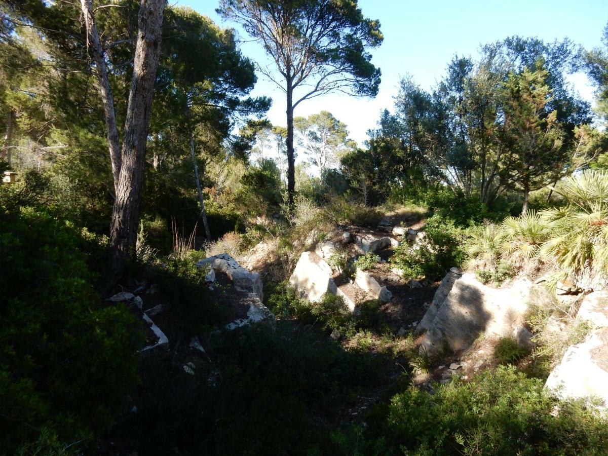 Finca En Sueno De Son Jaumell