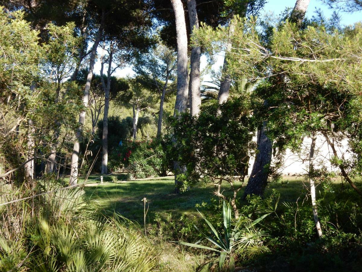 Villa Finca En Sueno De Son Jaumell *