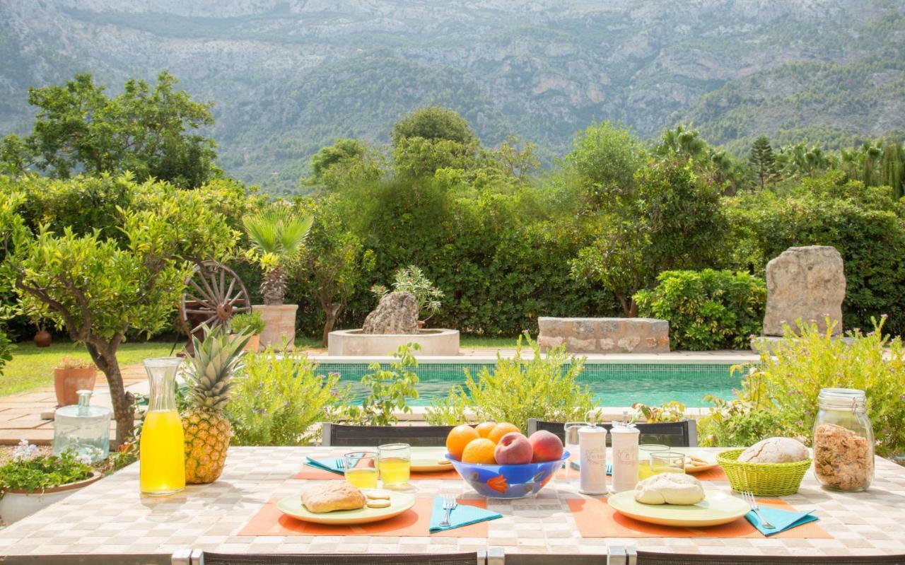 Toniet Sóller