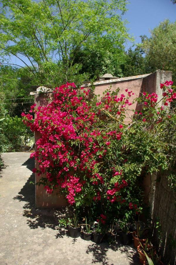 Houpla Sol Holiday home Manacor (Mallorca)