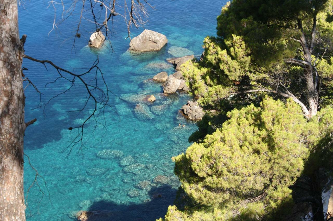 Сasa de vacaciones Son Riera Petit Paradís *