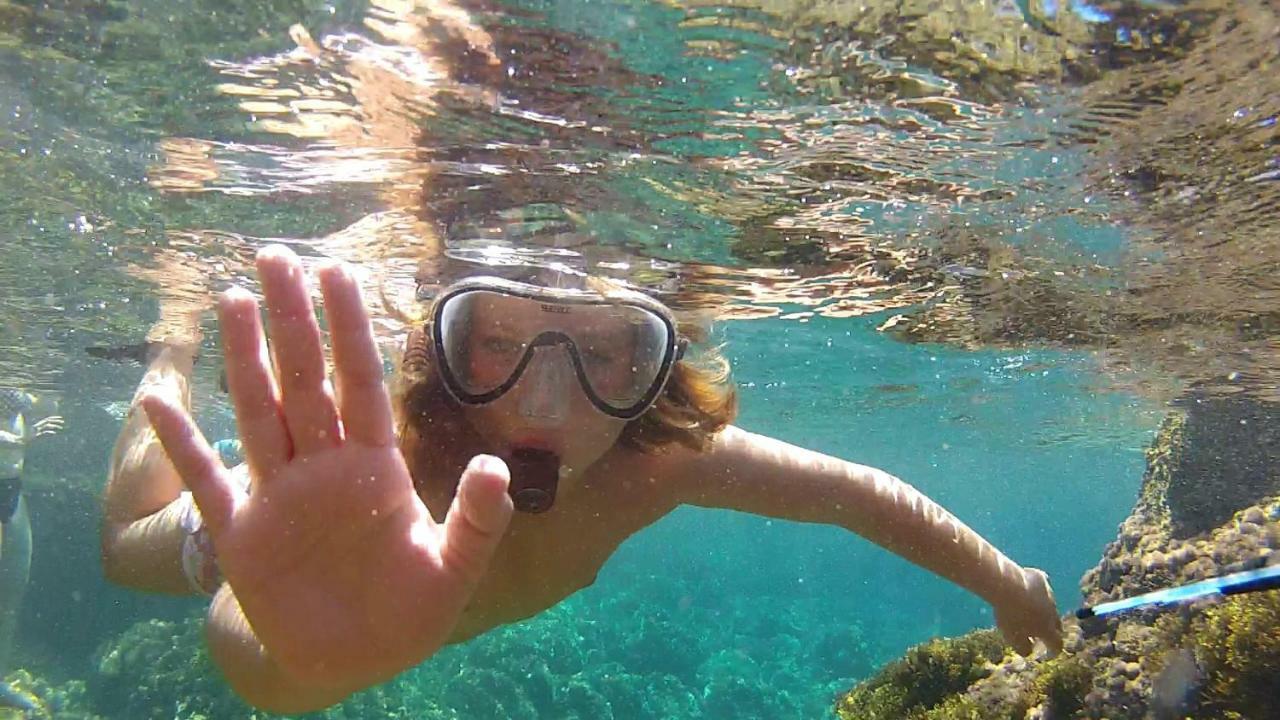 Son Riera Petit Paradís Сasa de vacaciones *