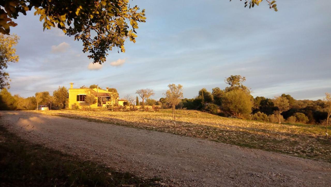 Сasa de vacaciones Sa Comella