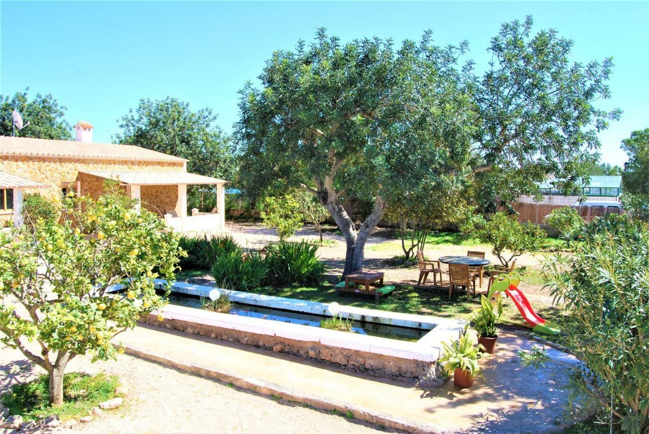 Es Marroig Villa *