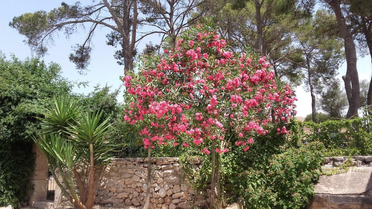 Casa Mallorca Сasa de vacaciones Castellitx