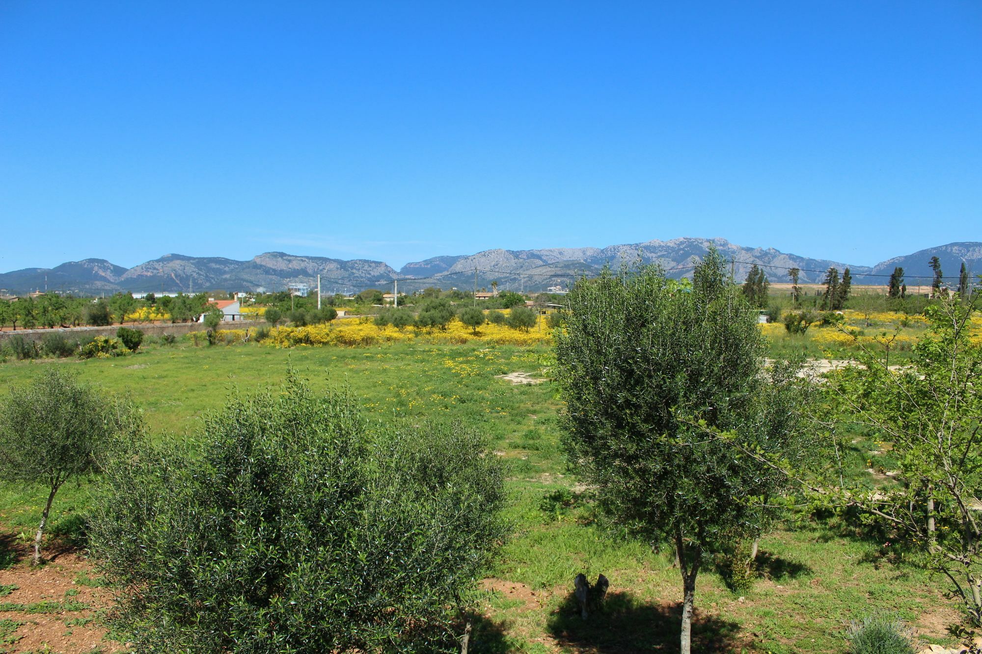 Villa Casa Gran - Son Nebot