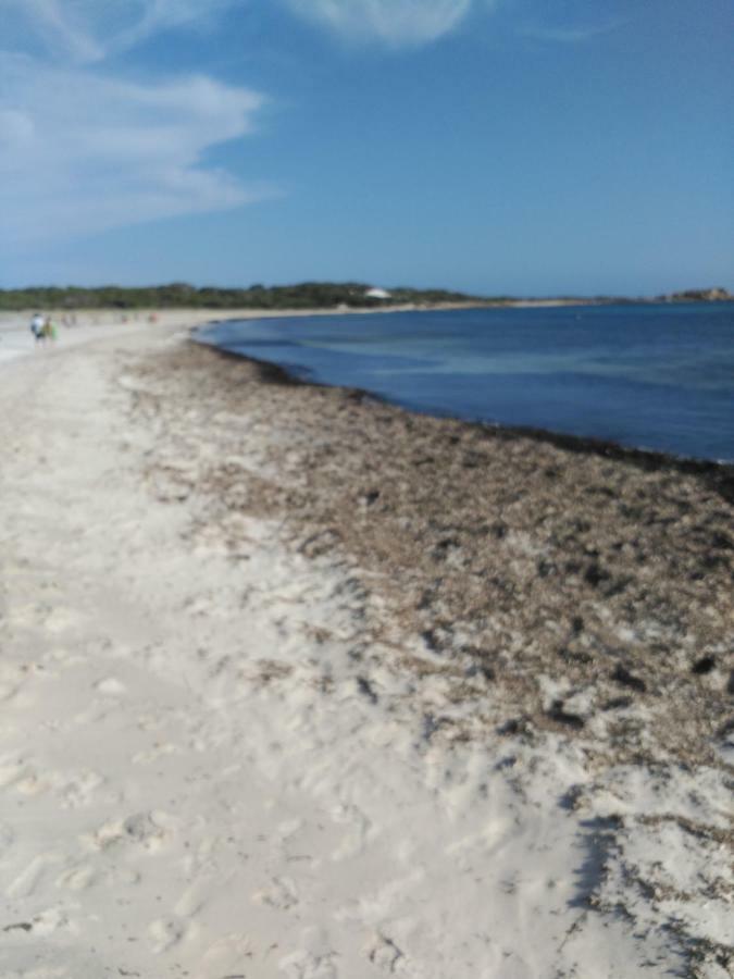Сasa de vacaciones Sa Cala House *