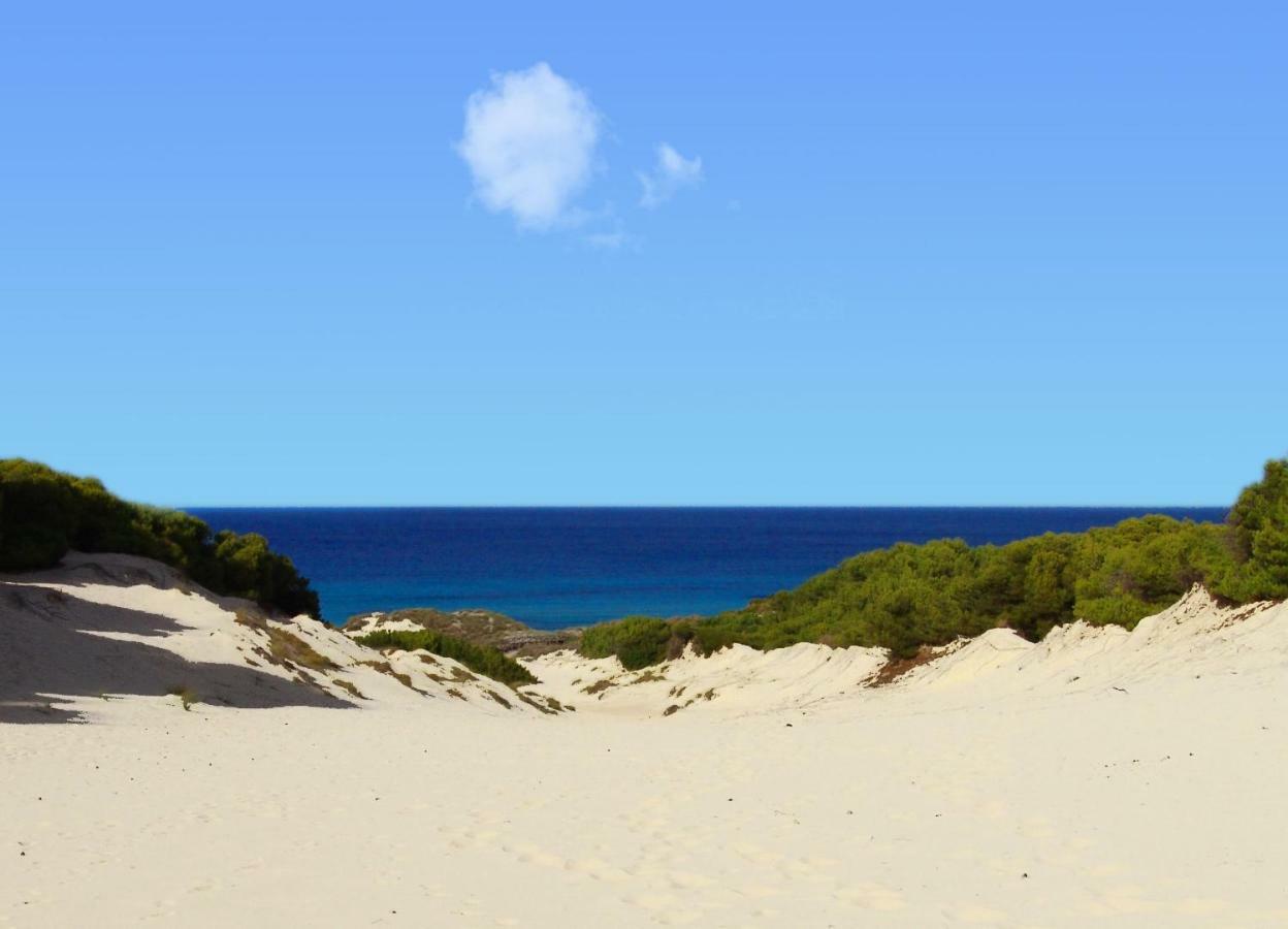 Cas Quinto Сasa de vacaciones Cala Ratjada (Mallorca)