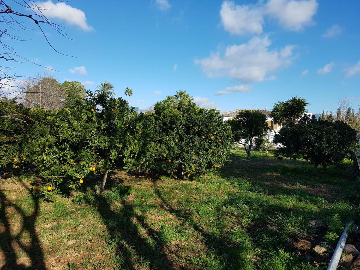 Holiday home Es Moli D'en Palmer Palma de Mallorca