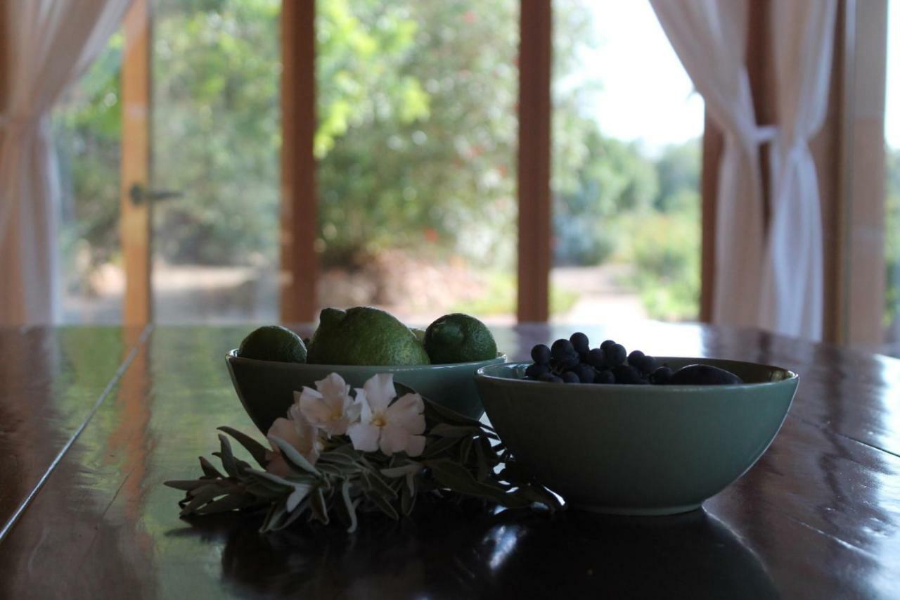 Сasa de vacaciones Finca Verde *