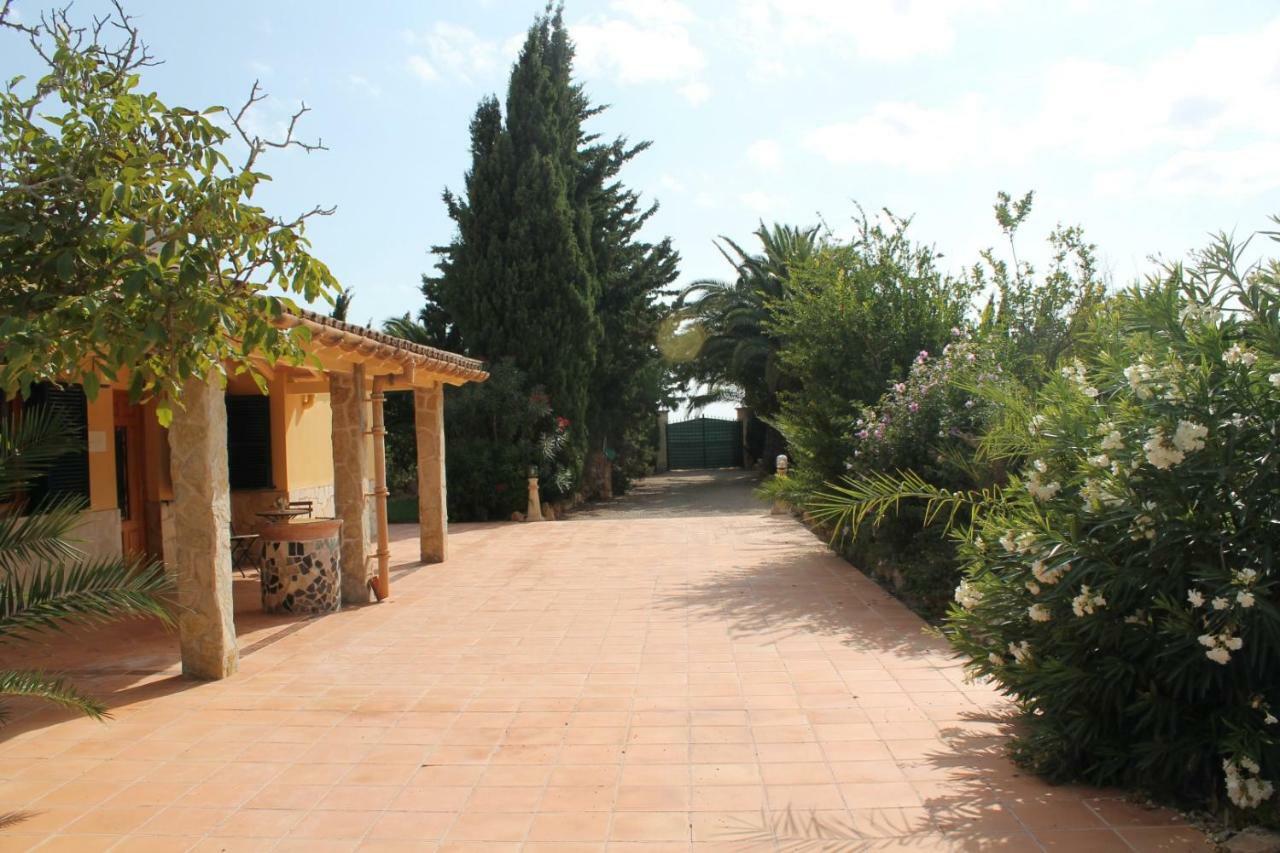 Finca Verde * Llucmajor (Mallorca)