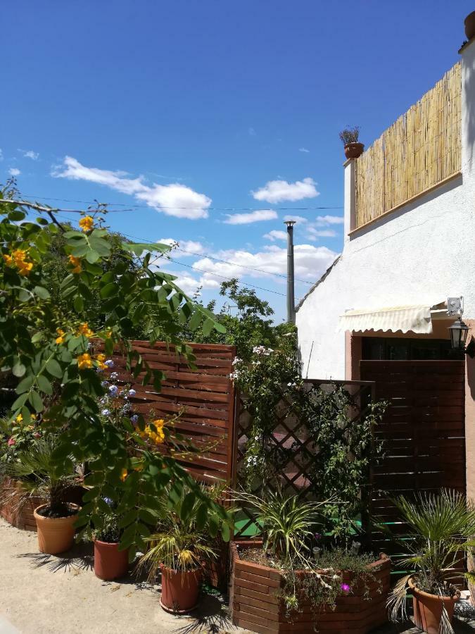 Houpla Sol Manacor (Mallorca)