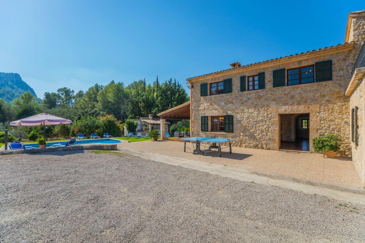 El Olivo Pollensa