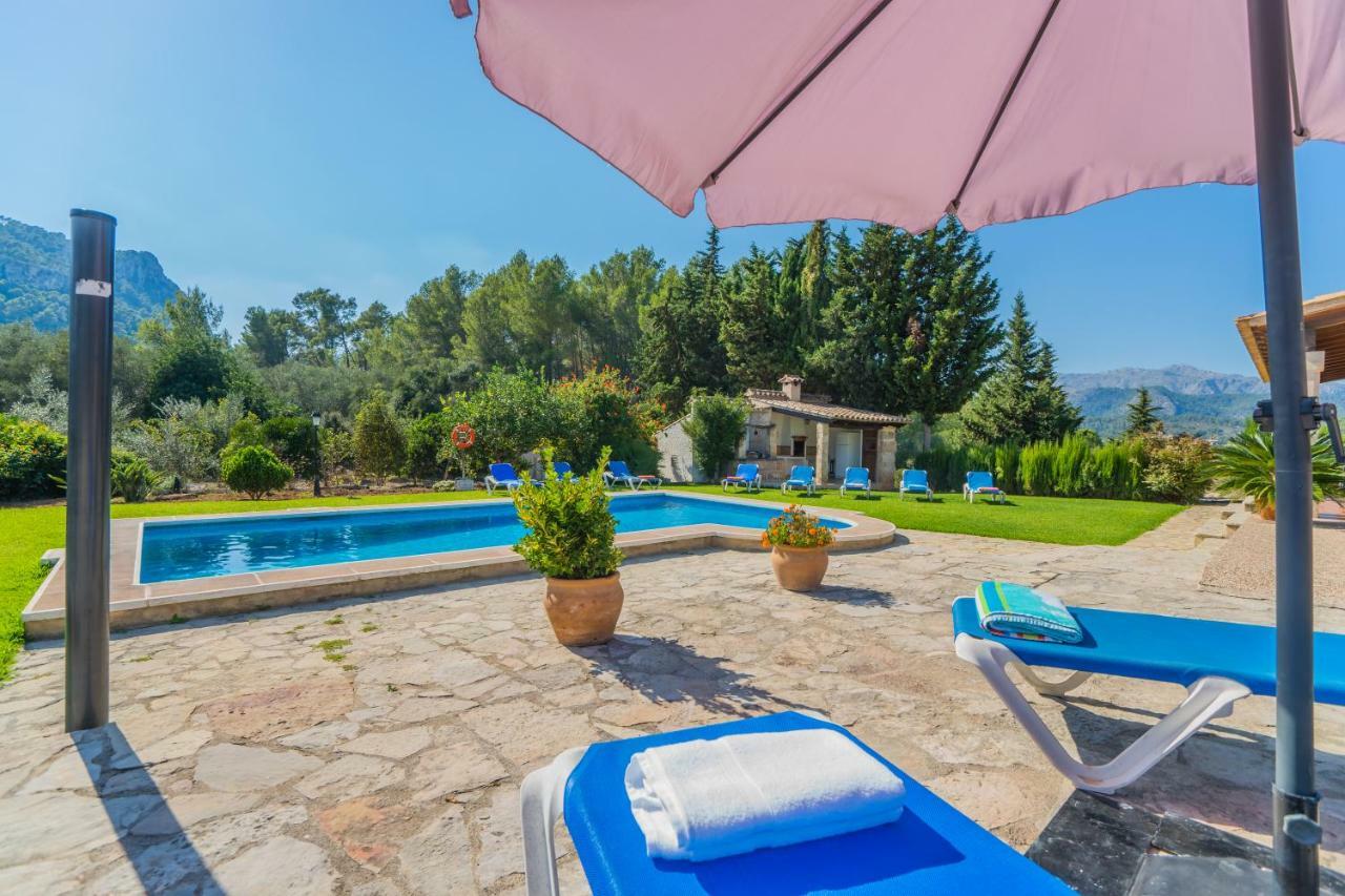 Villa El Olivo