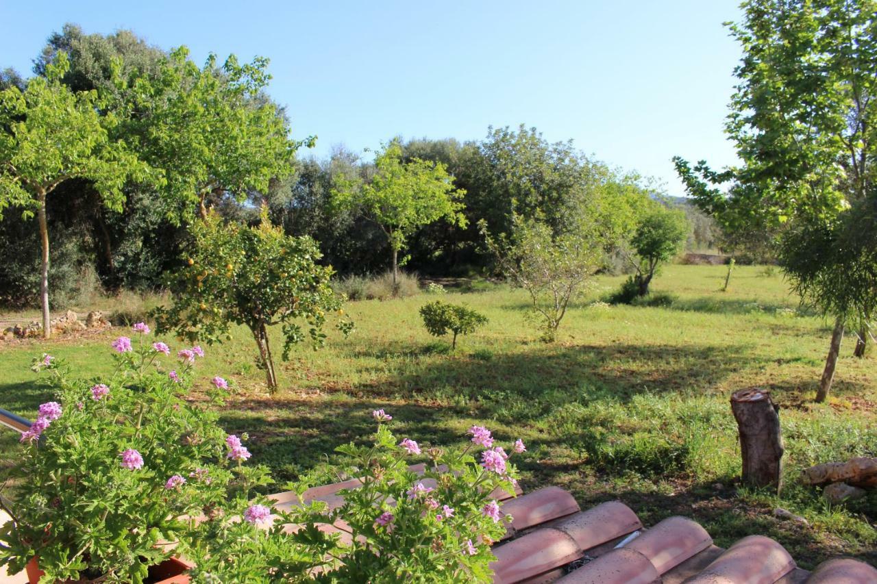 Son Garbeta Holiday home *