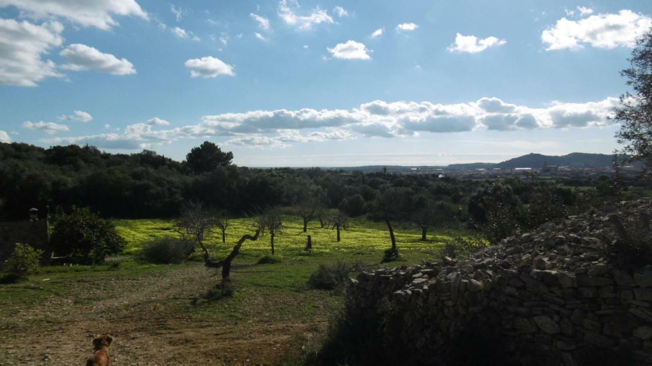 Sa Comella Porreras