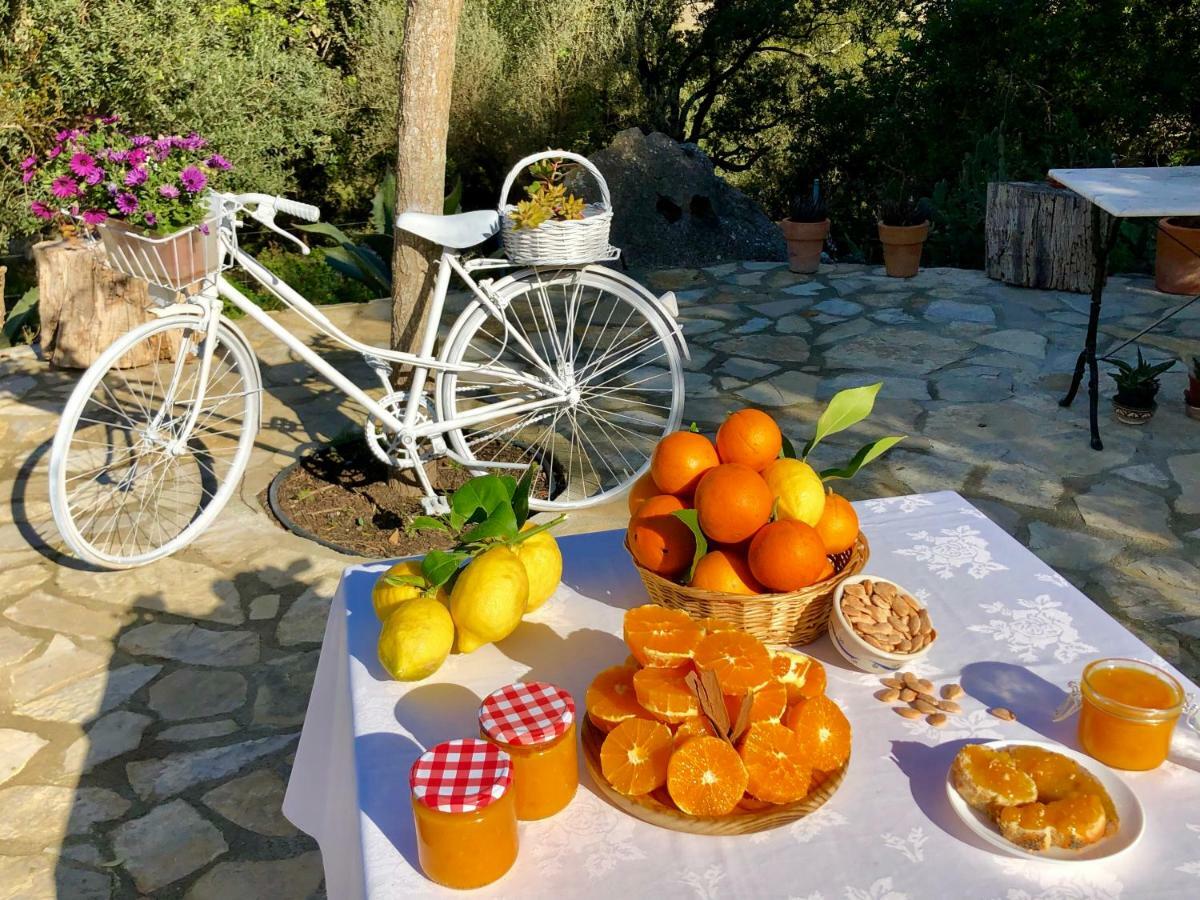 Agroturismo Guillo