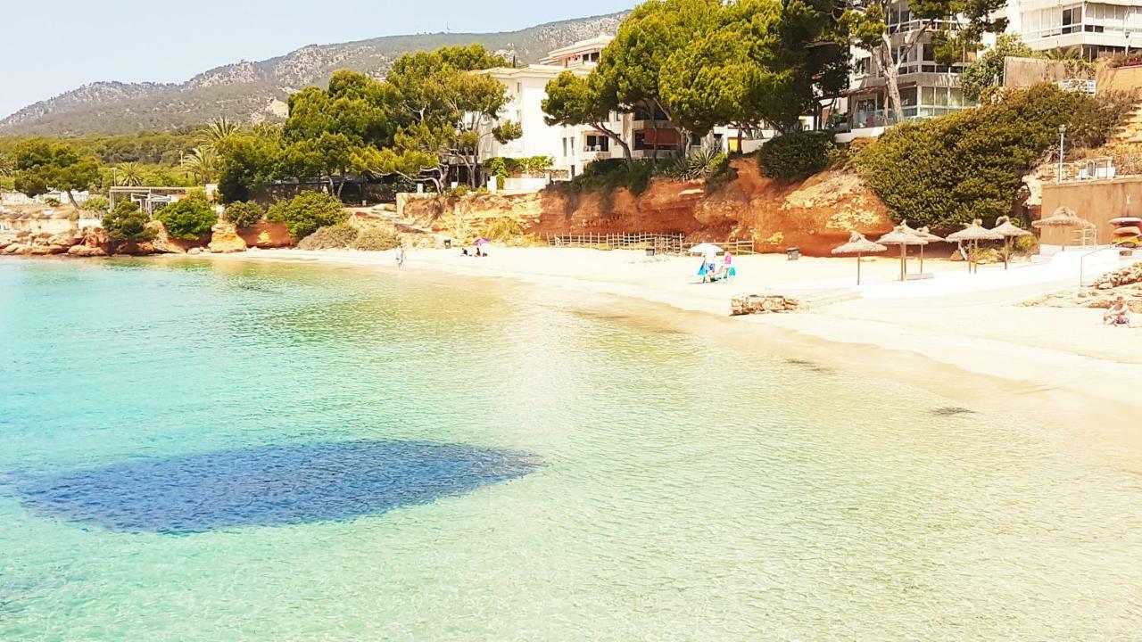 Mallorca Escape Portals Nous (Mallorca)