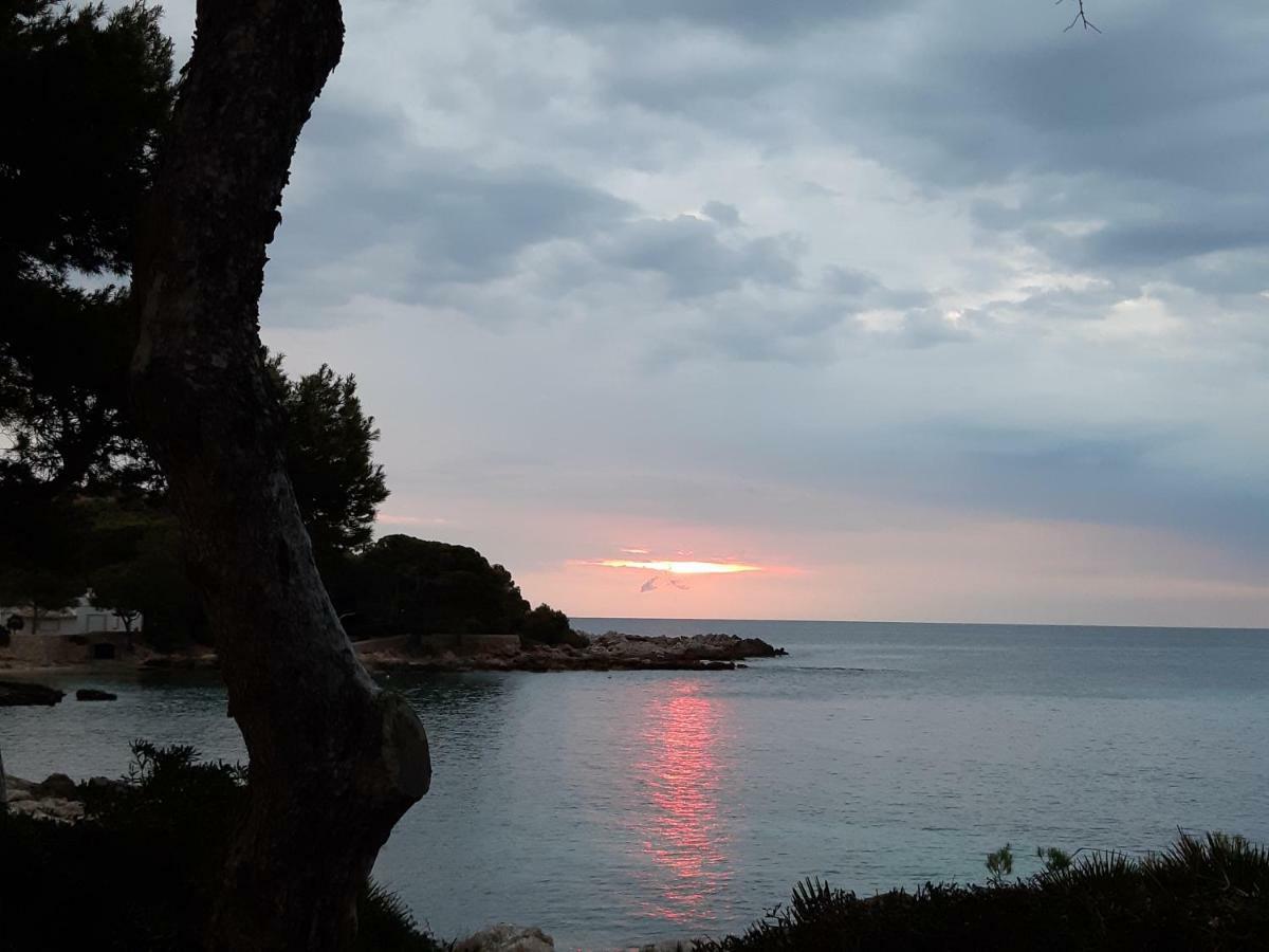 Caragol Apartamento Cala Ratjada (Mallorca)