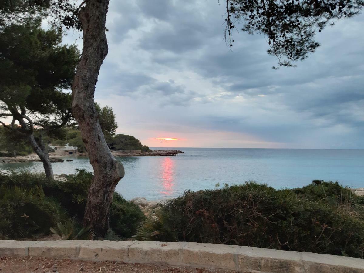 Caragol Cala Ratjada (Mallorca)