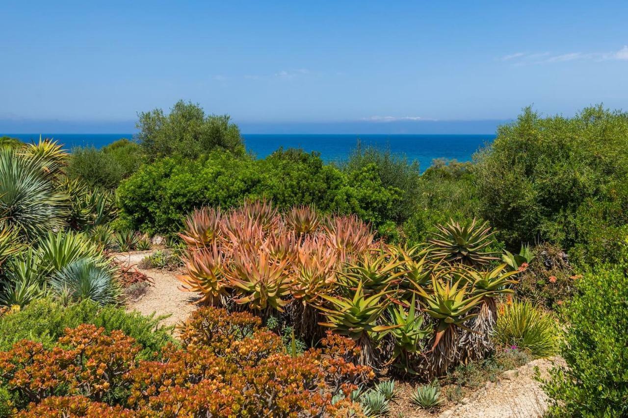 Finca Ses Figueres Villa