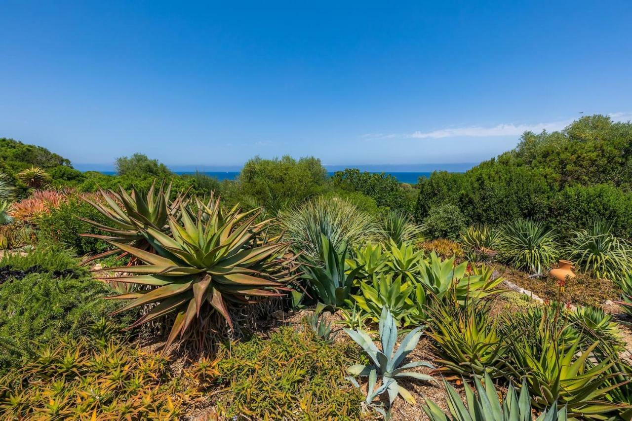 Finca Ses Figueres Villa *