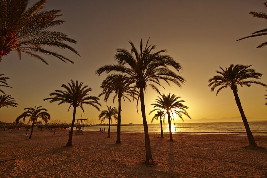 Mll Palma Bay Club Resort 3*