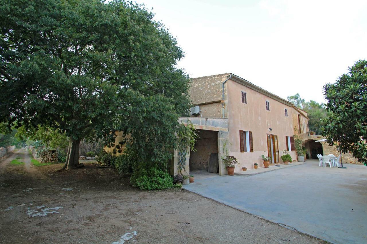 Finca Son Xuric Holiday home *