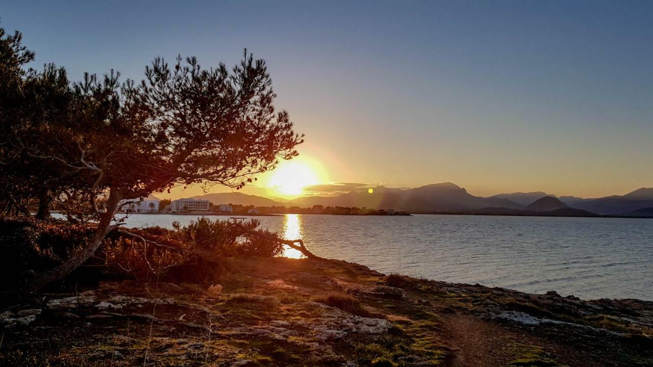 Es Fasser Alcúdia