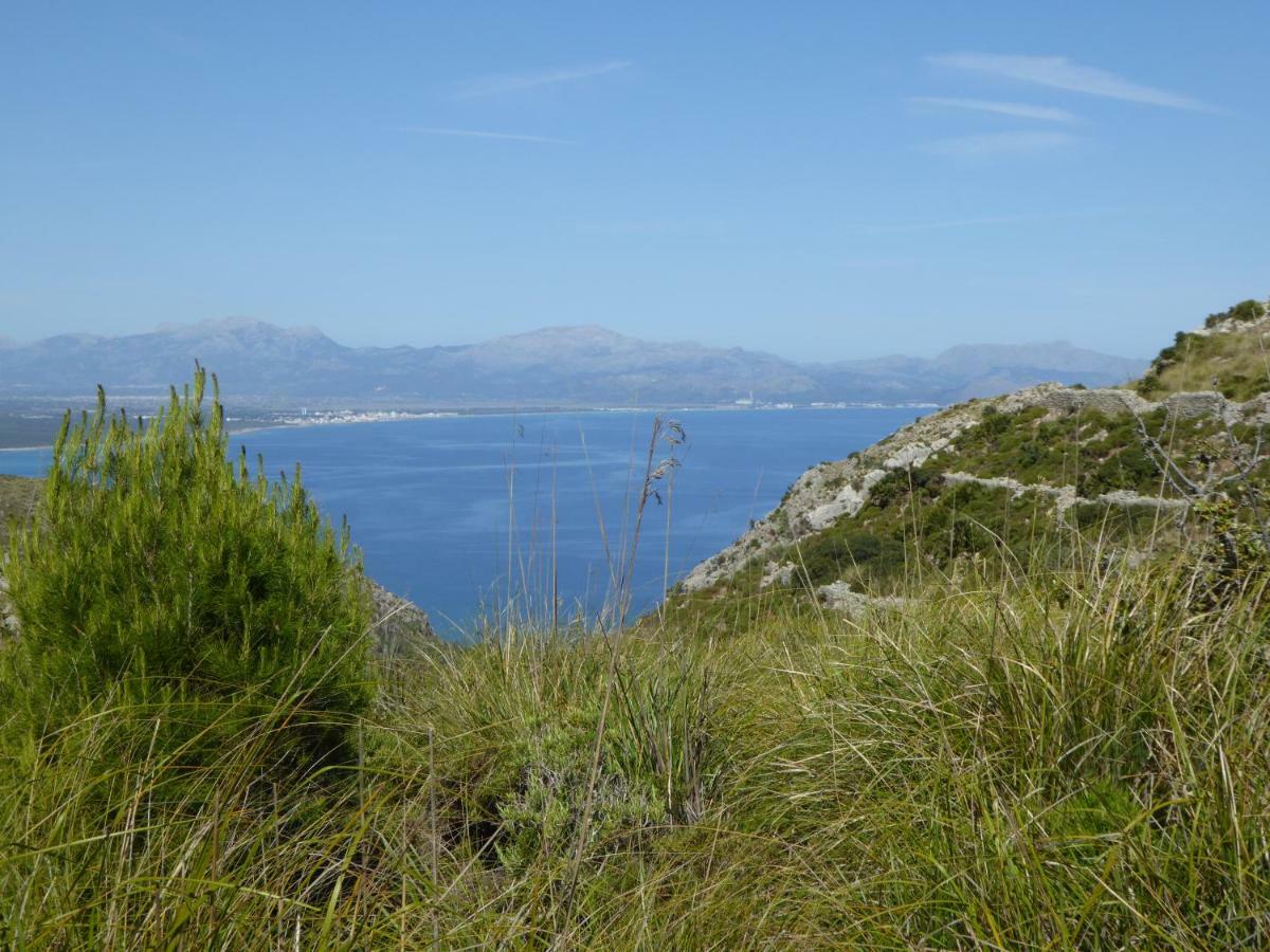 Cas Quinto Cala Ratjada (Mallorca)