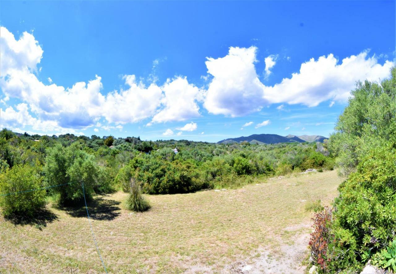 Villa Bona Sort *