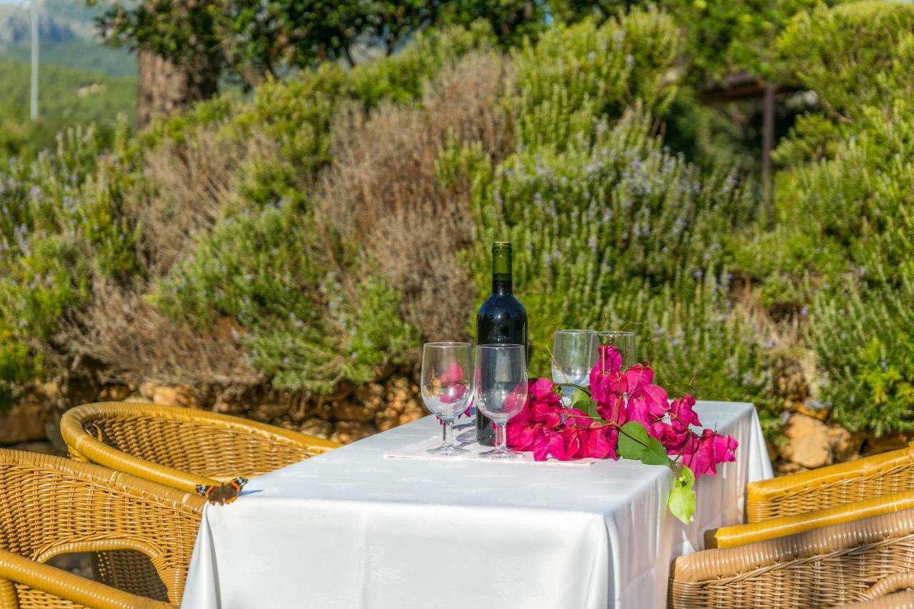 Villa Historic House In Mallorca Up To 12 Guests