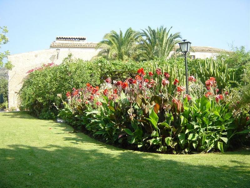 Guillo Pollensa