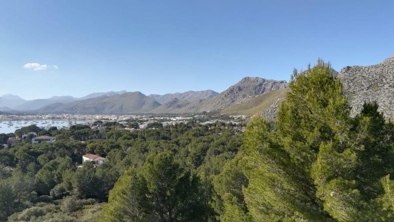 Dalia Apartamento