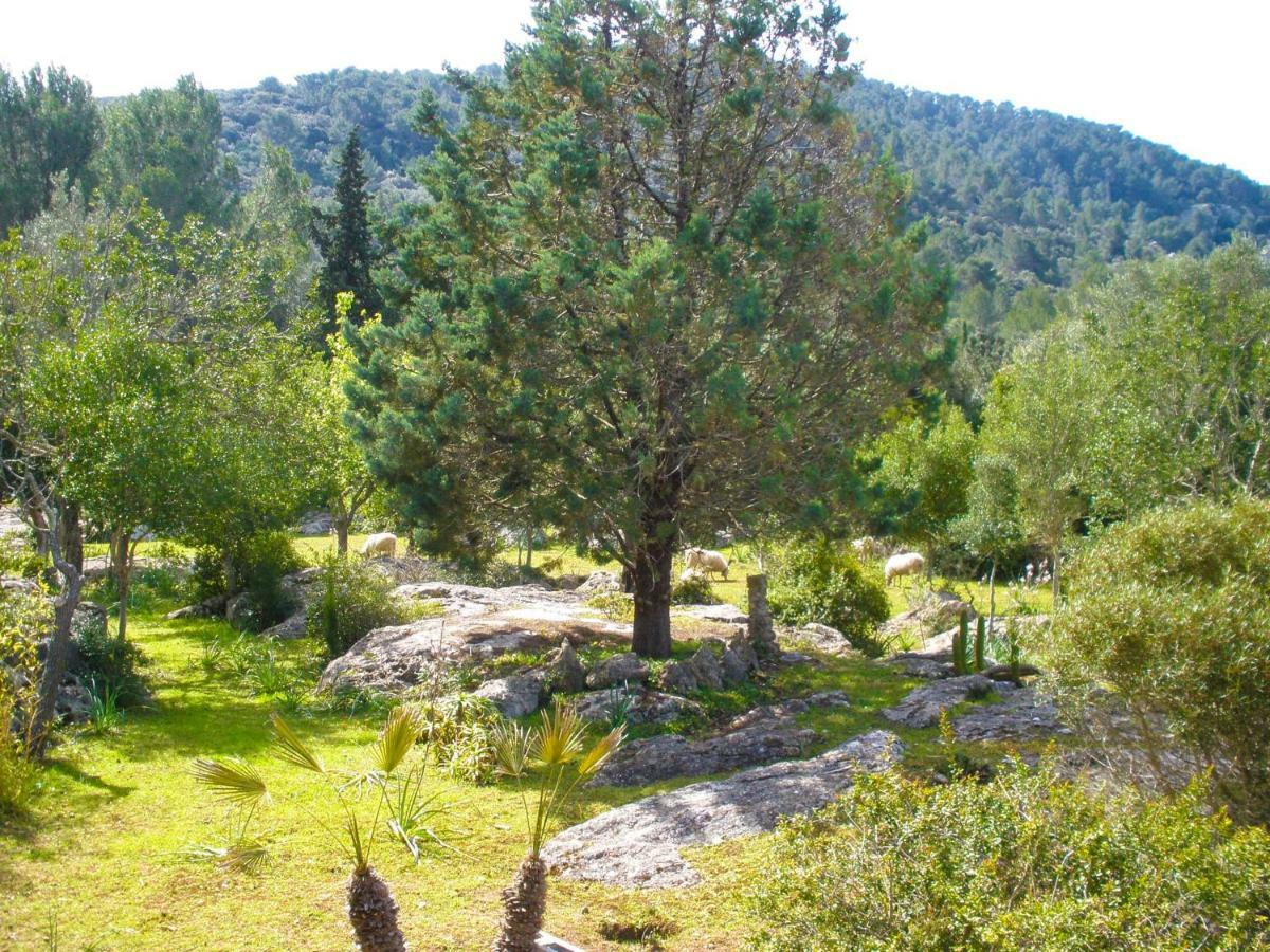 Casa rural Company *