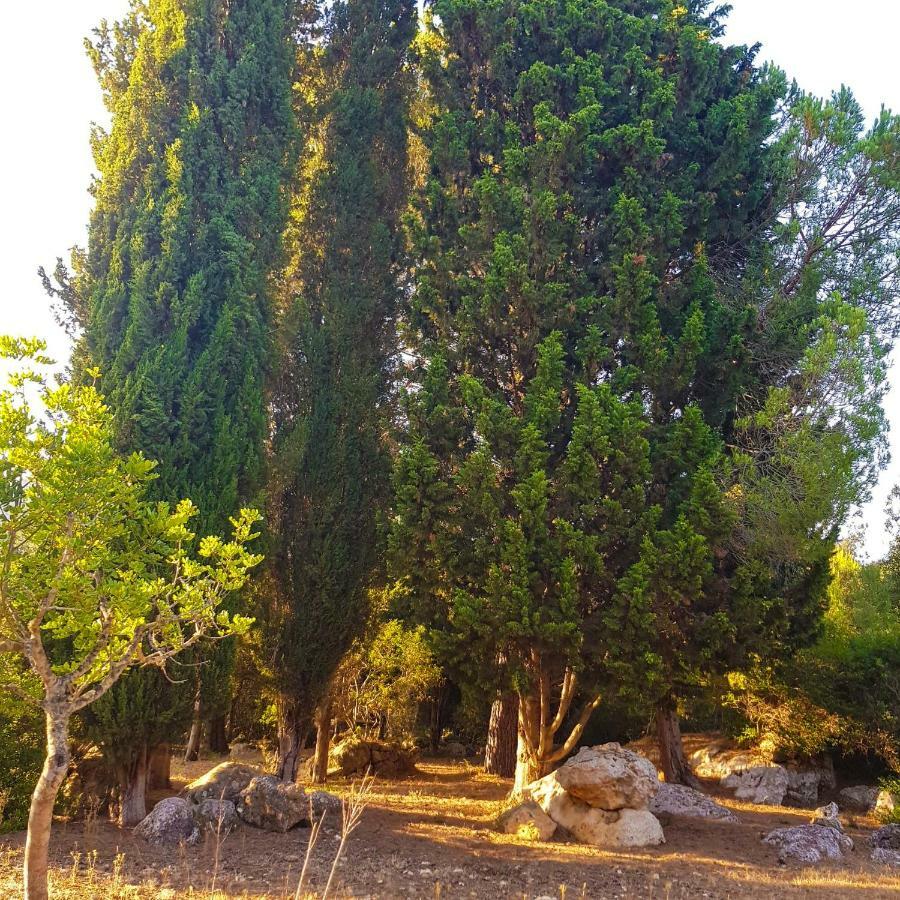 Company Casa rural *