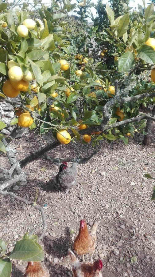 Sa Granja Сasa de vacaciones