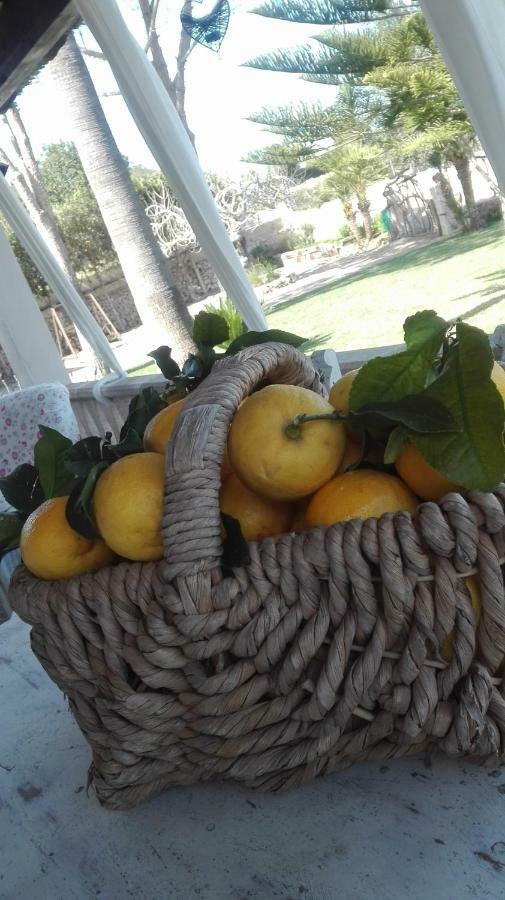 Сasa de vacaciones Sa Granja