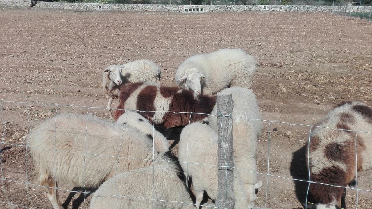 Сasa de vacaciones Sa Granja Artà