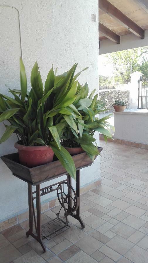 Sa Granja Сasa de vacaciones *