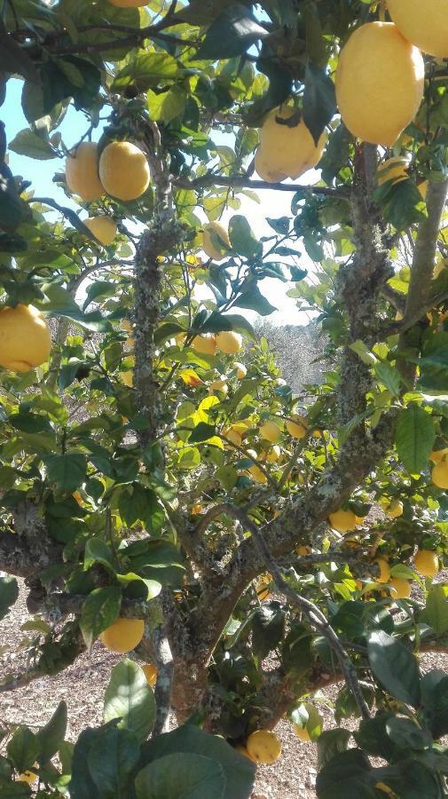 Sa Granja Сasa de vacaciones *